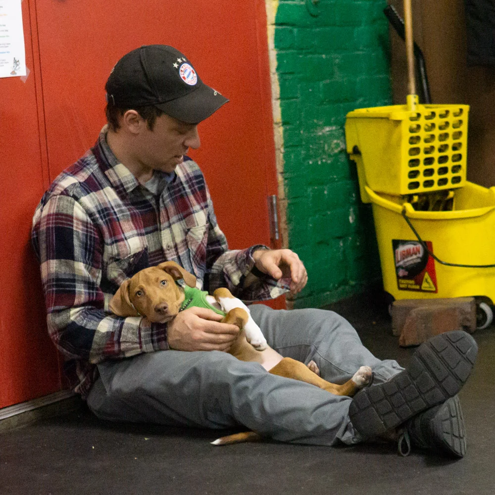 2018-11-08_Unleashed_PuppyClass (32 of 38).jpg