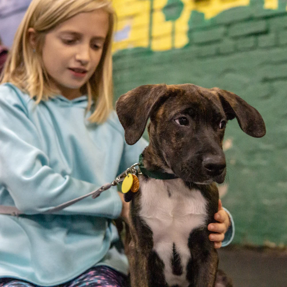 2018-11-08_Unleashed_PuppyClass (35 of 38).jpg