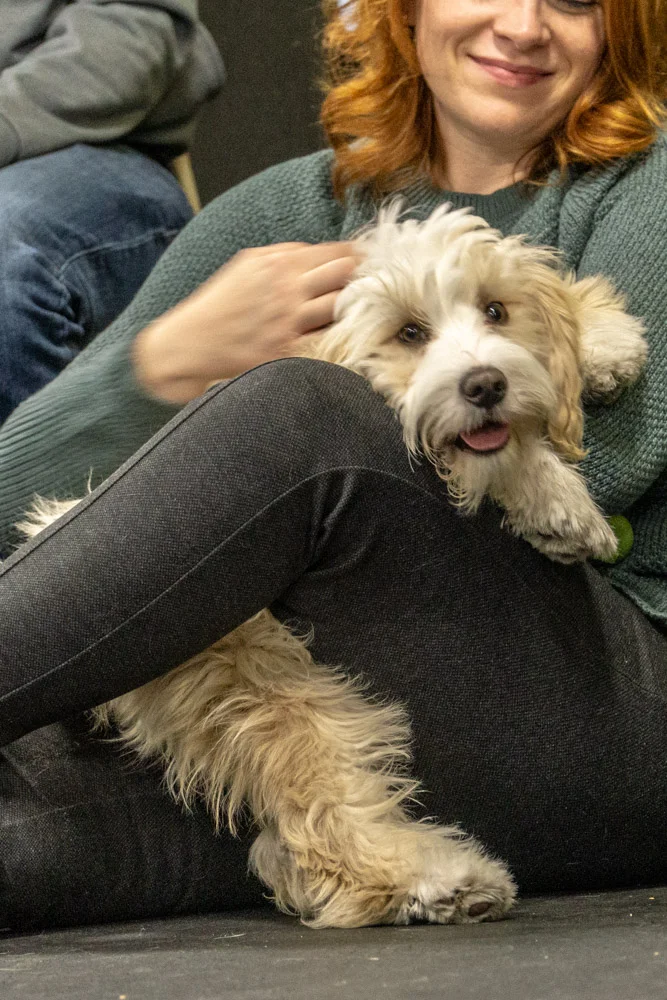 2018-11-29_Unleashed_PuppyClass (23 of 34).jpg
