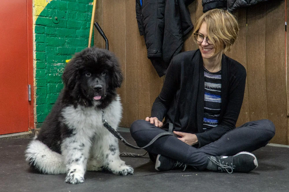 2018-11-29_Unleashed_PuppyClass (31 of 34).jpg