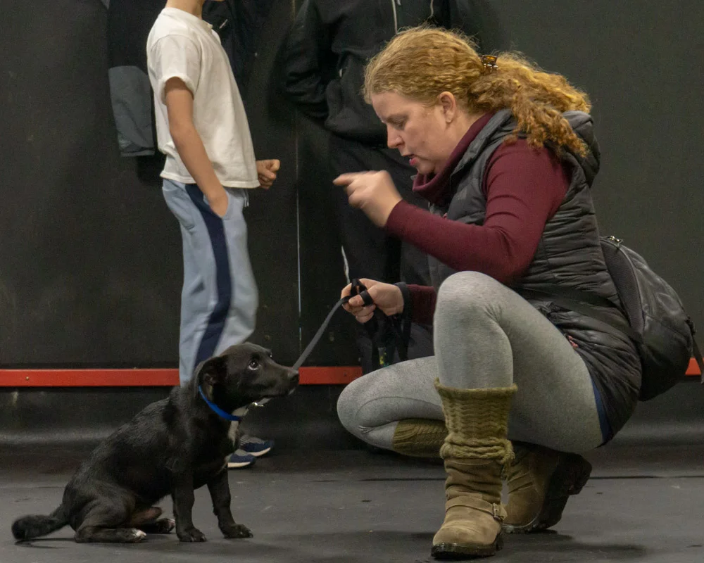2018-11-29_Unleashed_PuppyClass (1 of 34).jpg