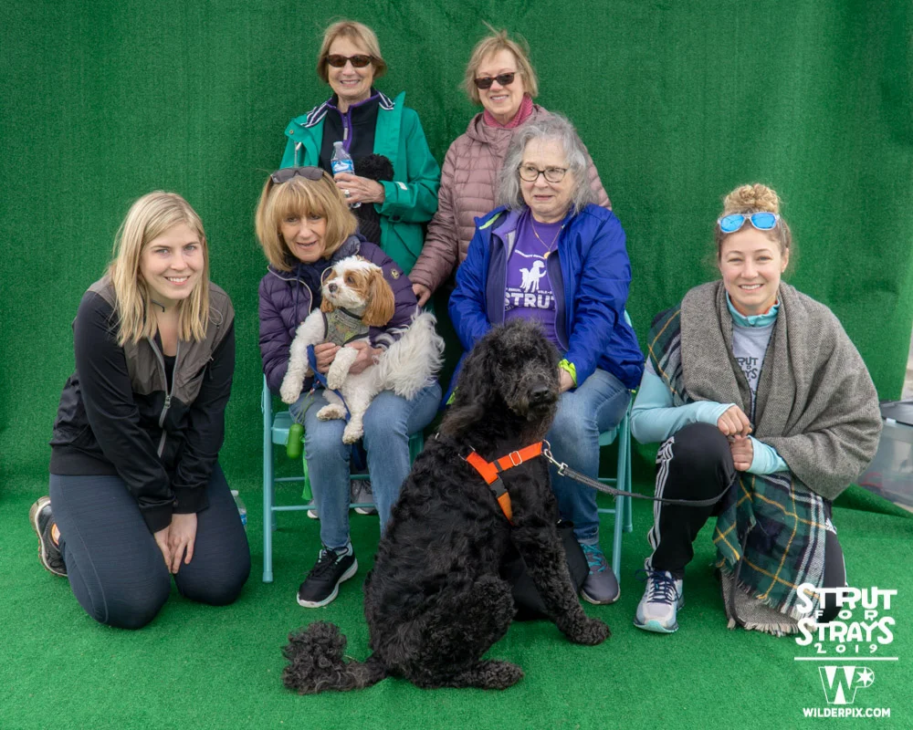 Strut2019 (101 of 148).jpg