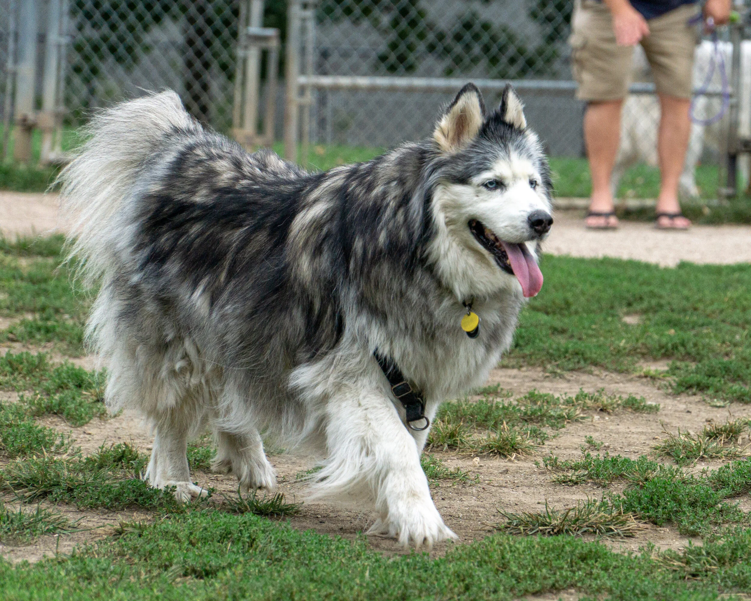 2019-09-21 PoochPark (20 of 32).jpg