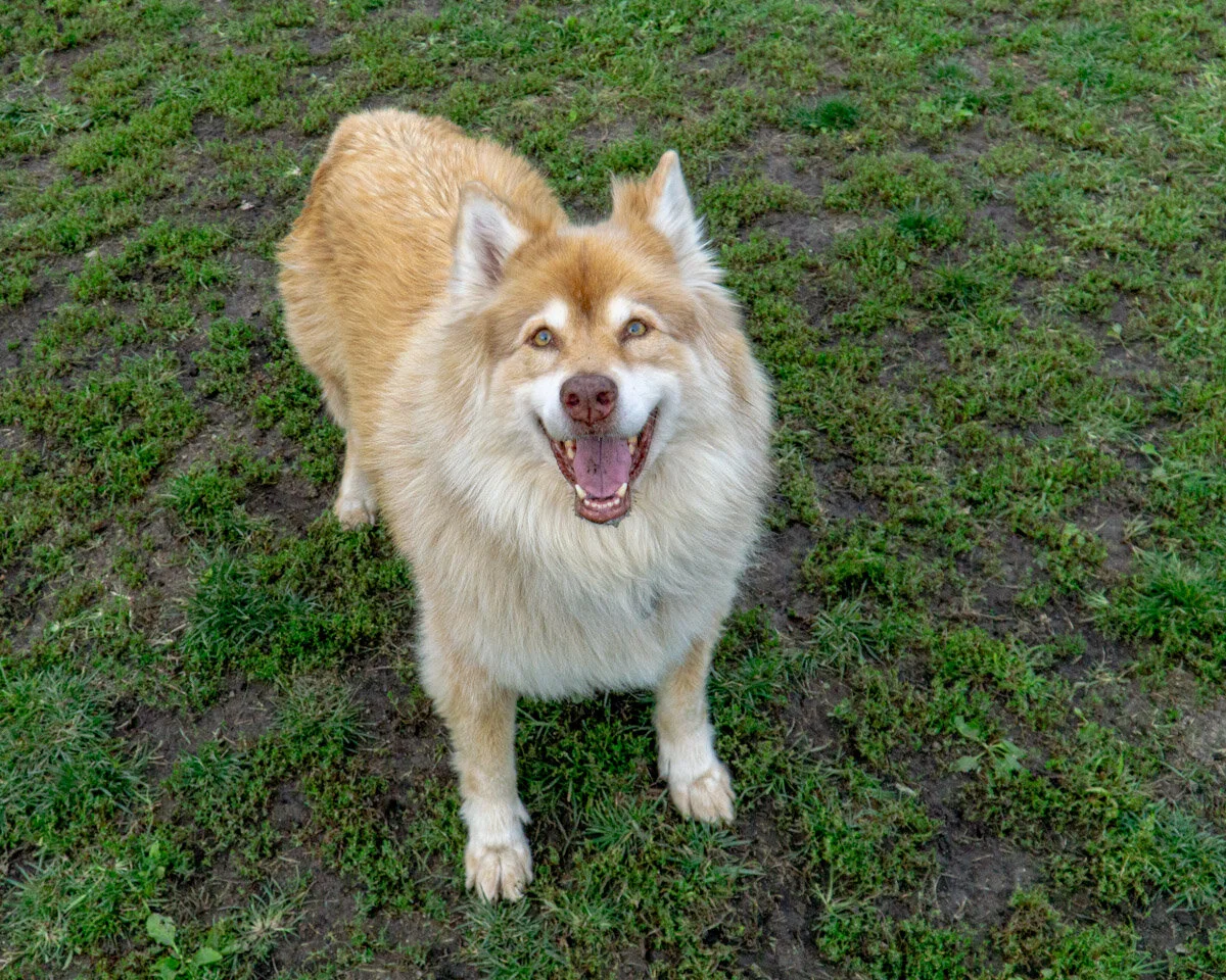 Mika - 20194-023