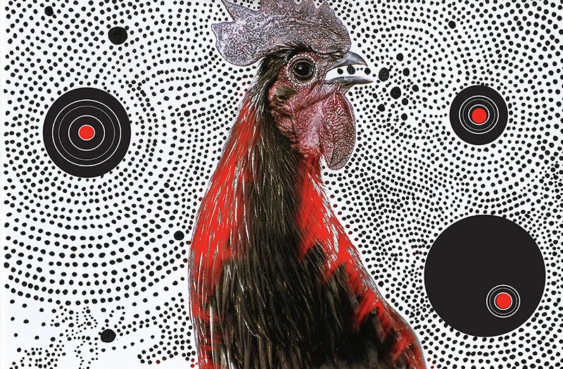 Techo birds7.jpg