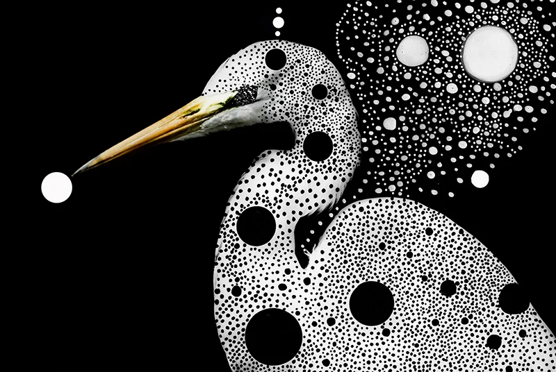 Techo birds4.jpg