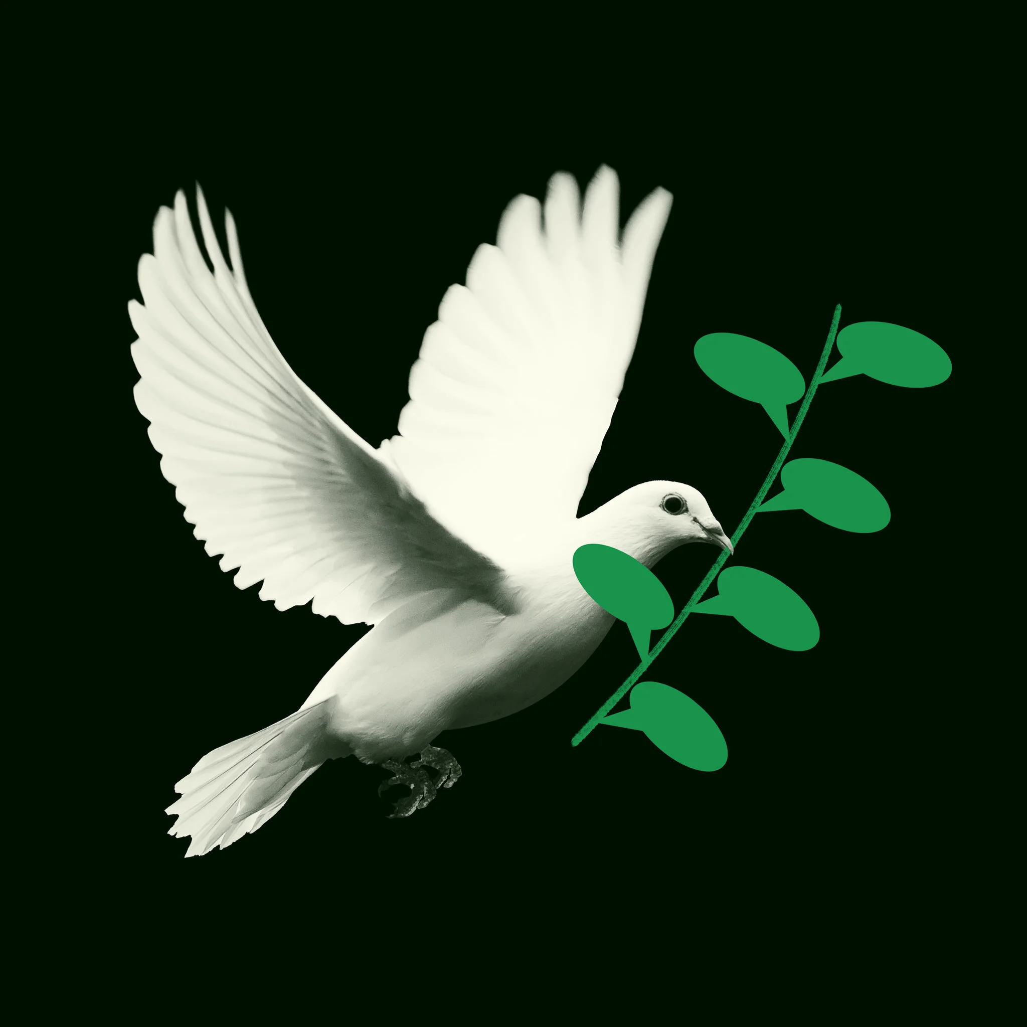 ENDING AMERICA'S ENDLESS WAR IN AFGHANISTAN