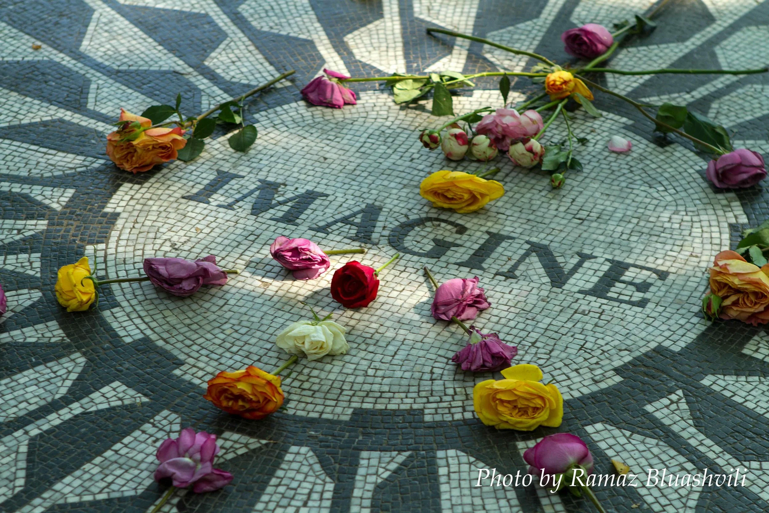 We feed on lies. The lies feed on us.