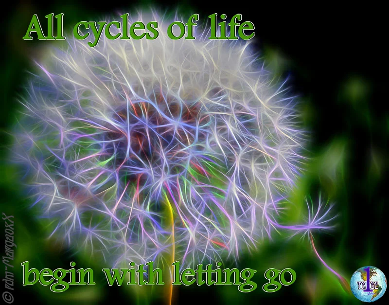 AllOfLifesCyclesBeginWithLettingGo.jpg