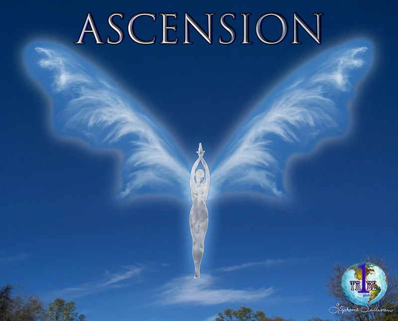 ascend-2.jpg