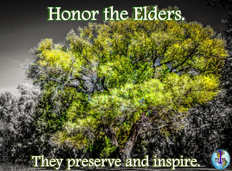 HonorTheElders-TheyPreserveAndInspire.jpg