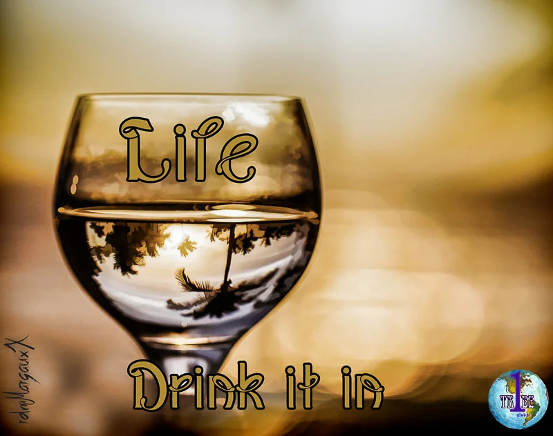 Lifedrinkitin.jpg