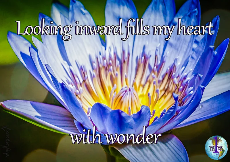 LookingInwardFillsMyHeartWithWonder.jpg