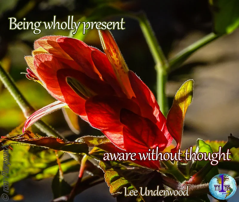 LU-BeingWholyPresentAwareWithoutThought-LU.jpg