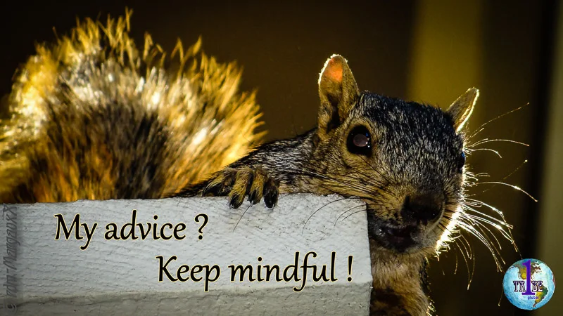 myadvicekeepmindful.jpg