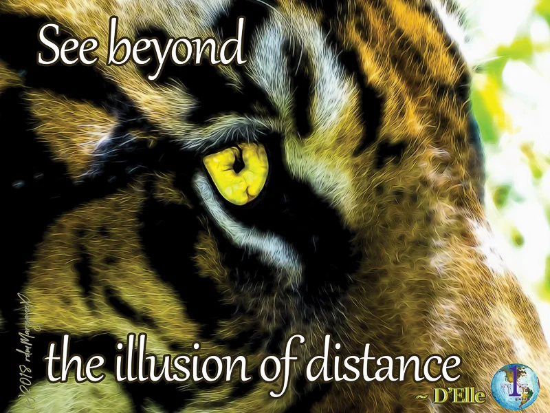 seebeyondtheillusionofdistance.jpg