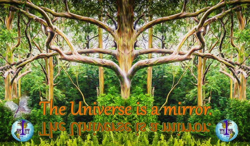 theuniverseisamirror.jpg