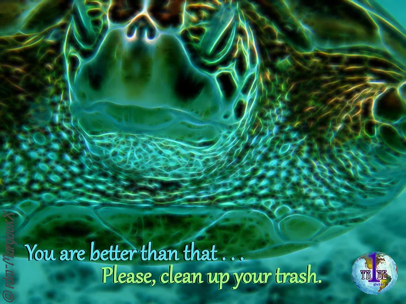 youarebetterthanthatcleanupyourtrash.jpg