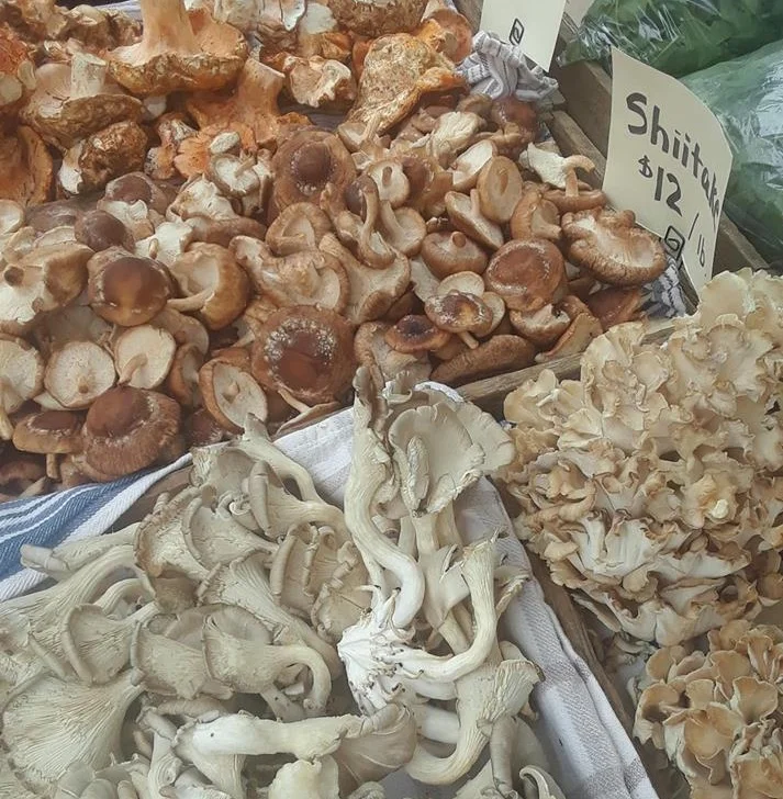 Mushroom varieties from Sparrowhawk Farm.(Downtown Hillsboro Saturday Market)