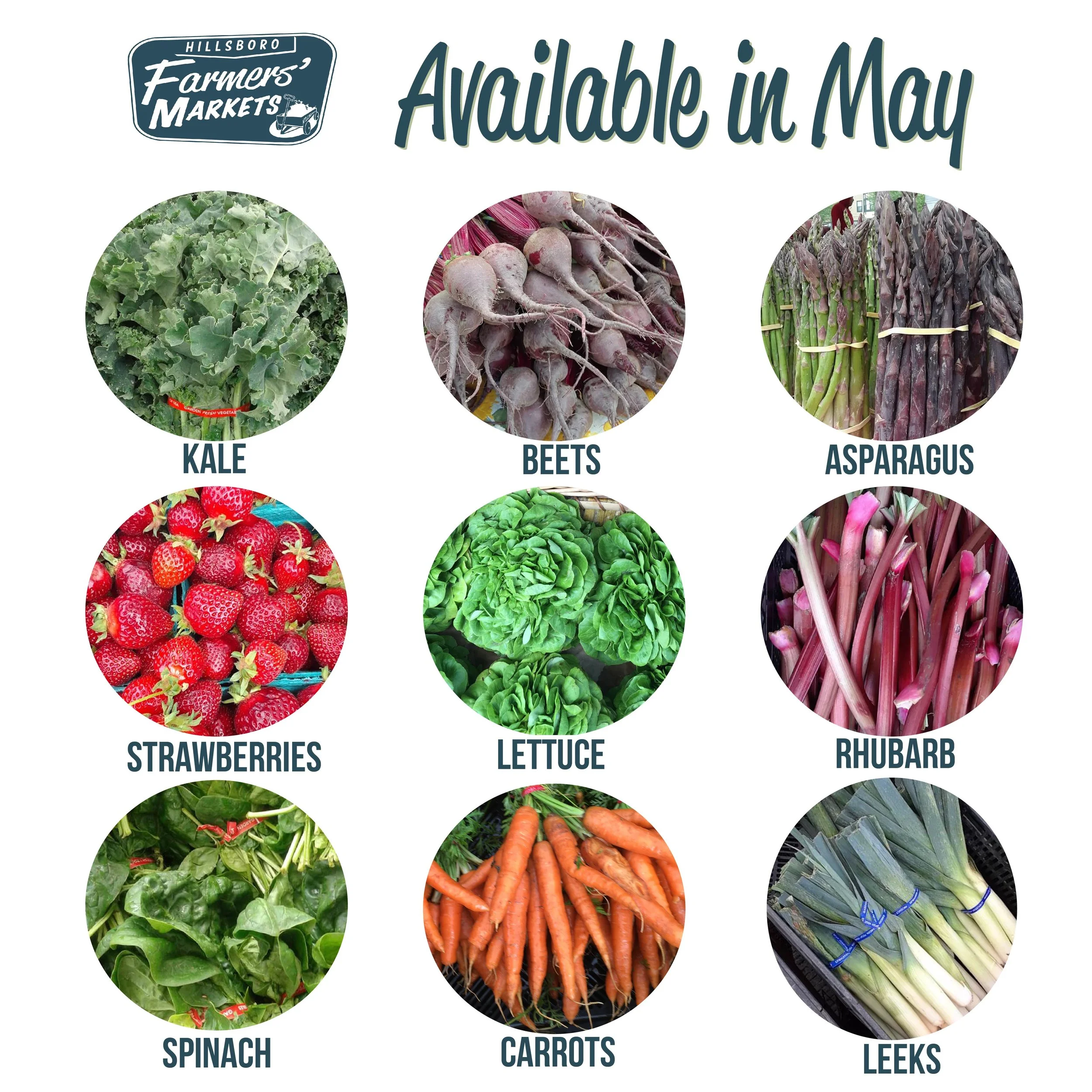 Seasonality Campaign -MAY AVAILABILITY-01.jpg