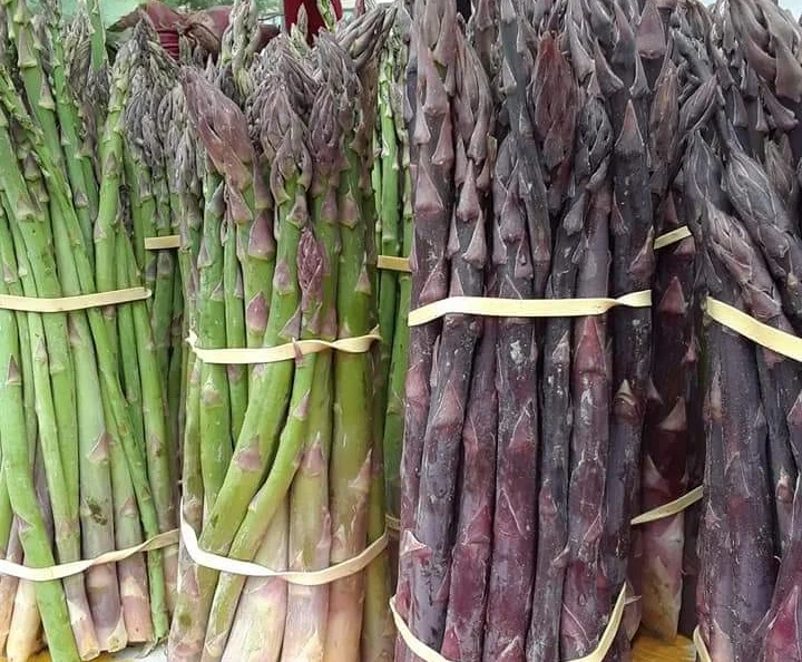 Asparagus+%288%29.jpg