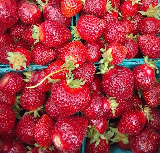 Strawberries+%285%29.jpg