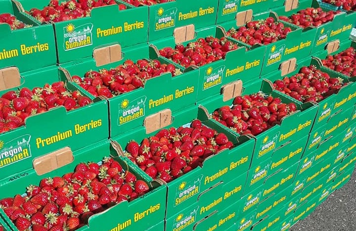 Strawberries+%2815%29.jpg