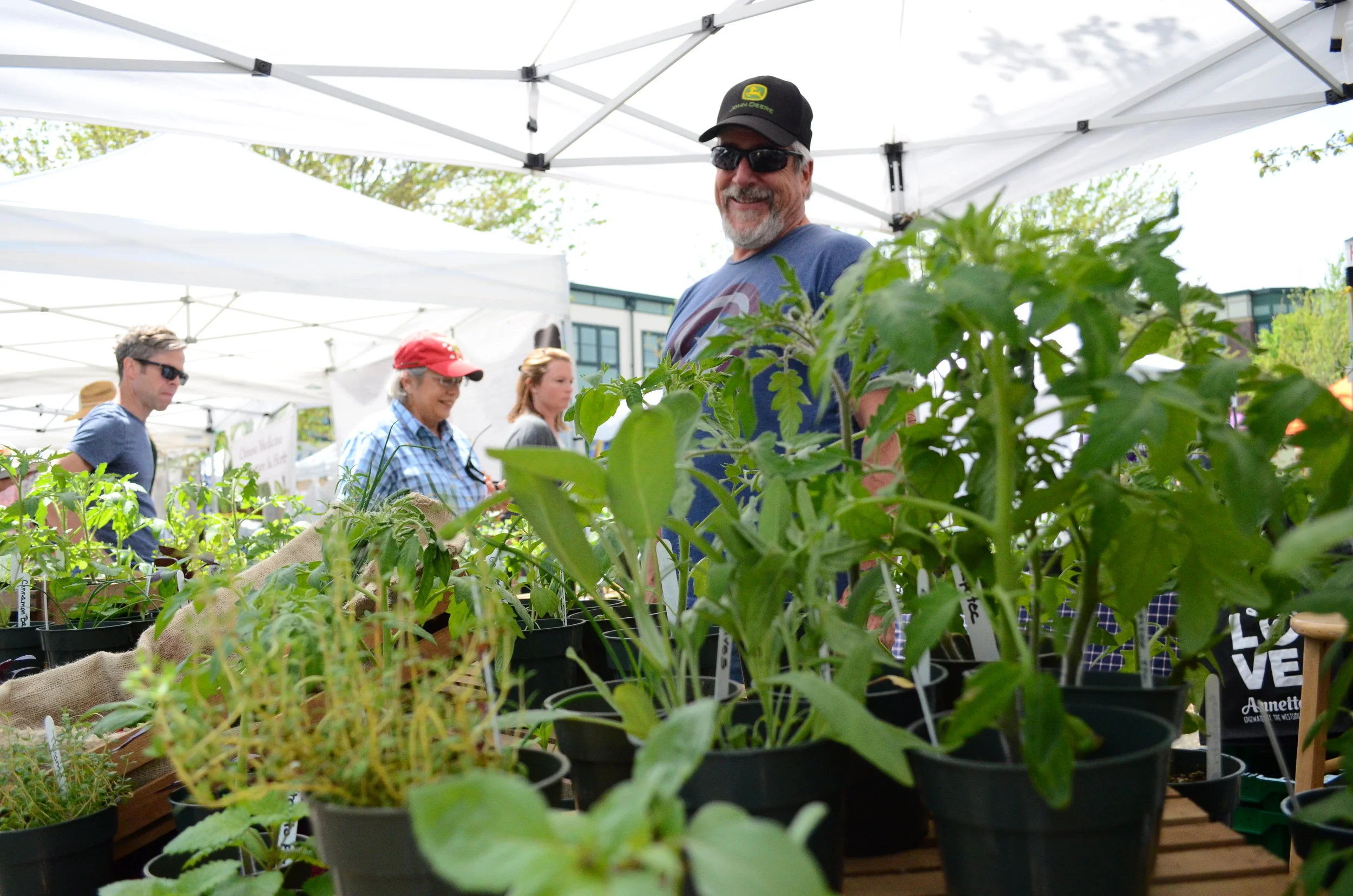 Pitch &amp; Plow Farms