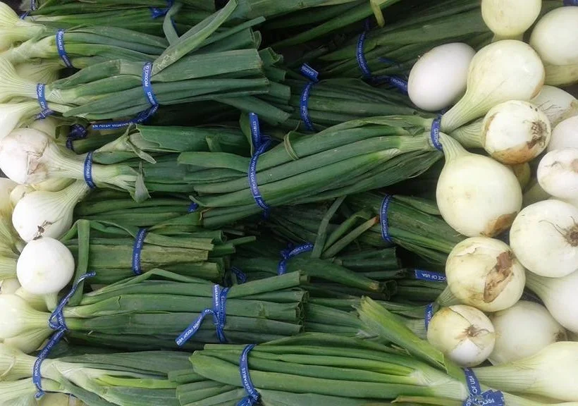 onions%2B%25282%2529.jpg