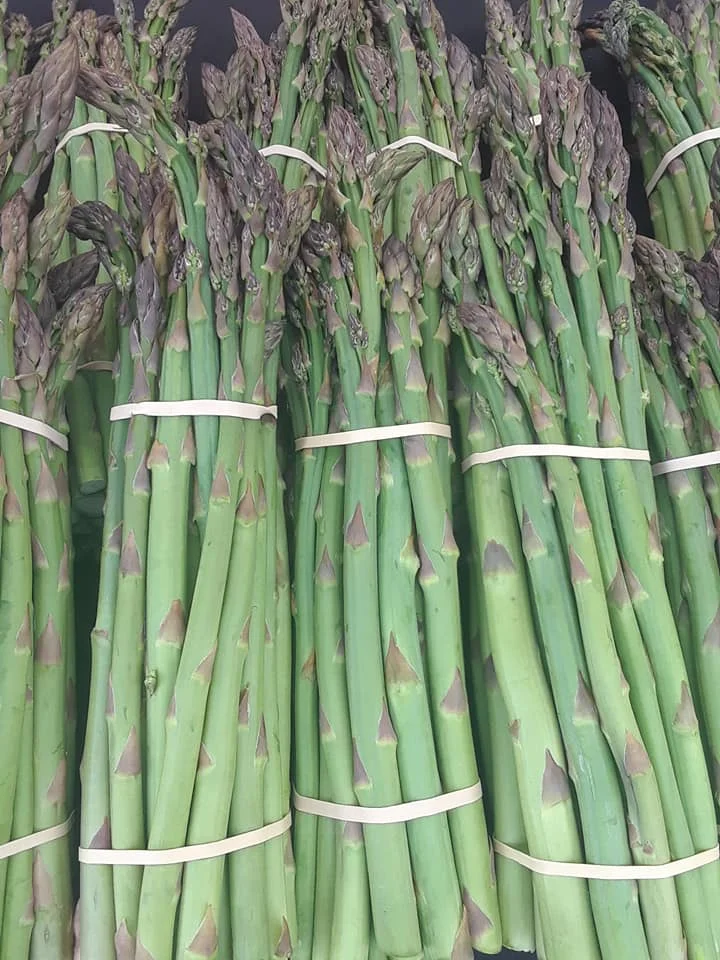 Asparagus