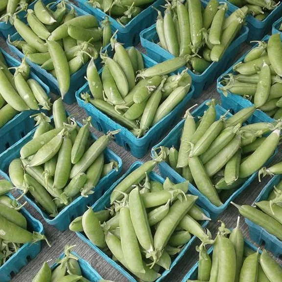 Asparagus, Radish, and Pea Salad