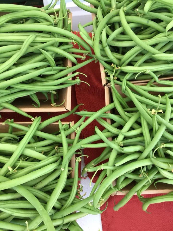 Green Beans