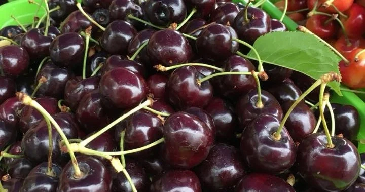 Cherries%2B%25285%2529.jpg