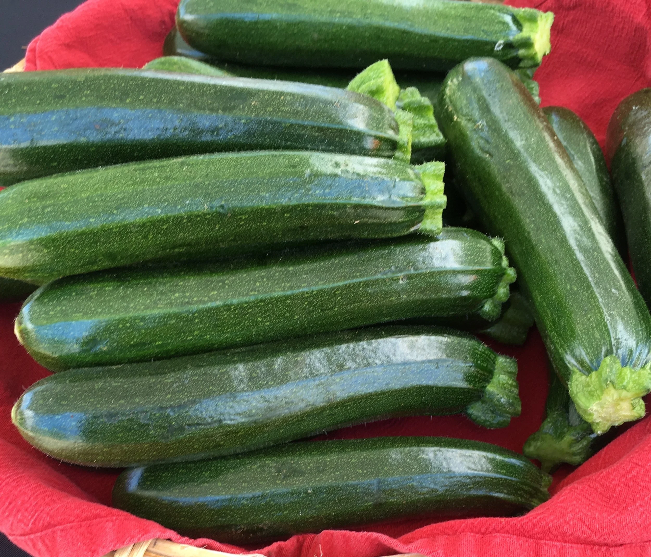 Zucchini+%284%29.jpg