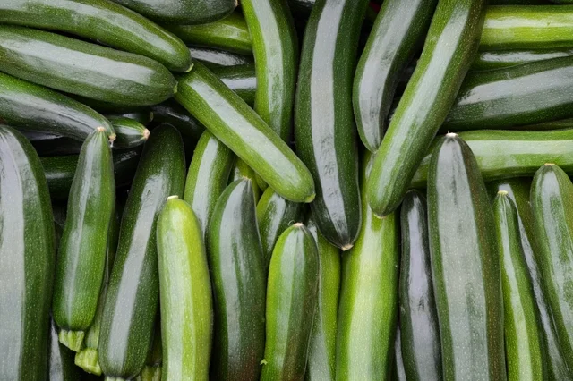 Zucchini
