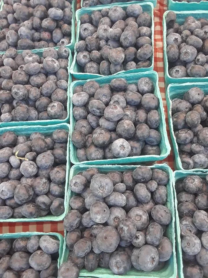 Blueberries