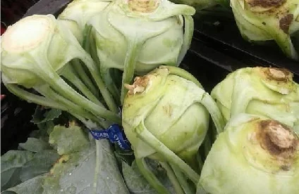 Kohlrahbi.jpg