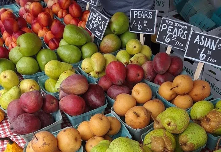 Pears+%282%29.jpg