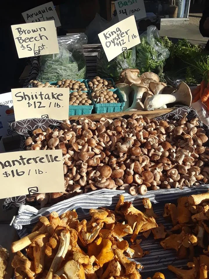 Mushrooms — Hillsboro Farmers' Markets