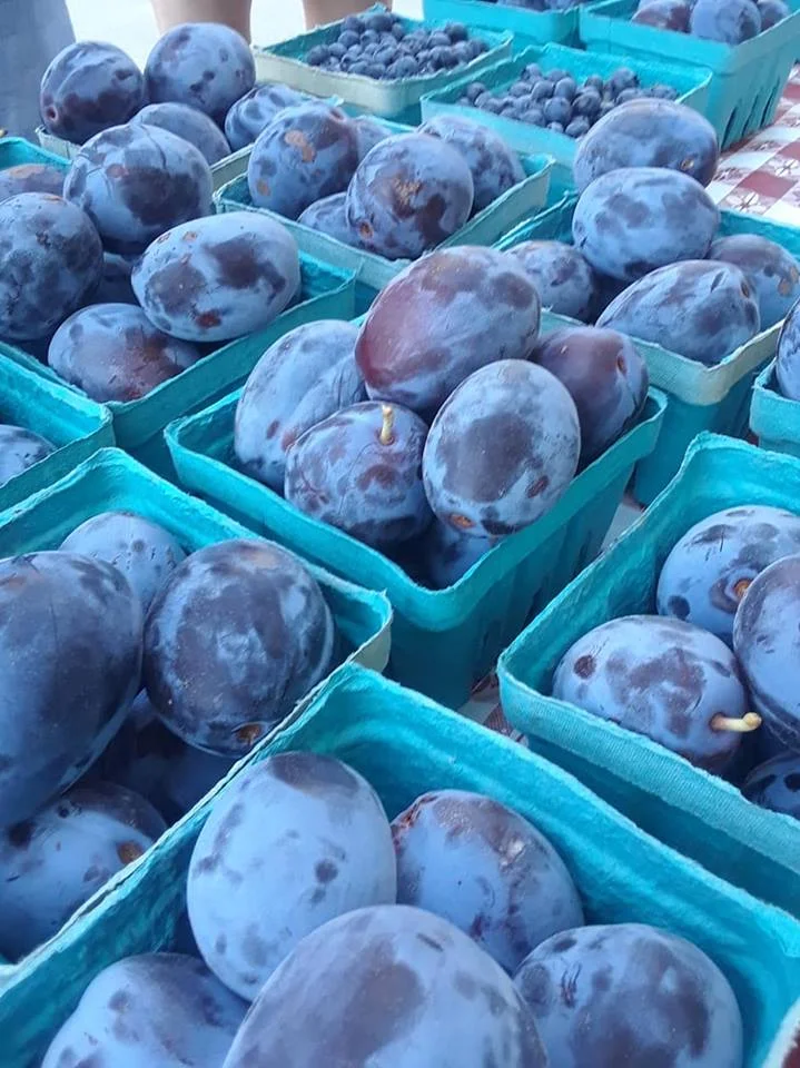 Plums.jpg