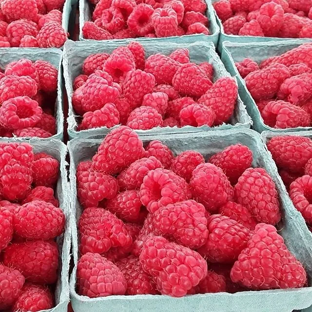 We spy with our little 👀 some of our summer favorites! 
#hillsboromarkets #orencostation #shoplocal #farmersmarkets