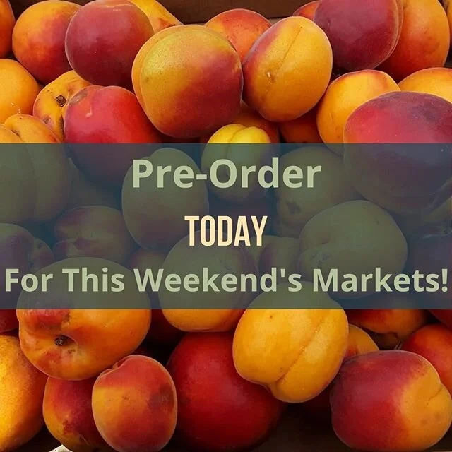 Pre-order today for this weekend's markets using What's Good or by contacting the vendor's directly! (🔗 in bio)

Pre-orders close
Downtown Hillsboro Saturday Market - 8 pm Friday
Orenco Station Sunday Market - 8 pm Saturday

Please note:
Vendors/pro