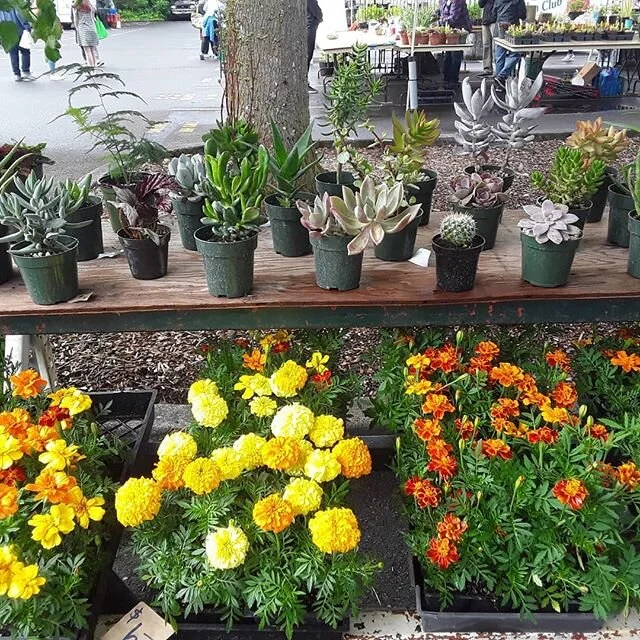 @pruittsfarm loves having conversations with their customers and answering all manner of questions, whether they&rsquo;re about their own farm or the farming industry in general, and especially enjoy the opportunity to get kids interested in where th