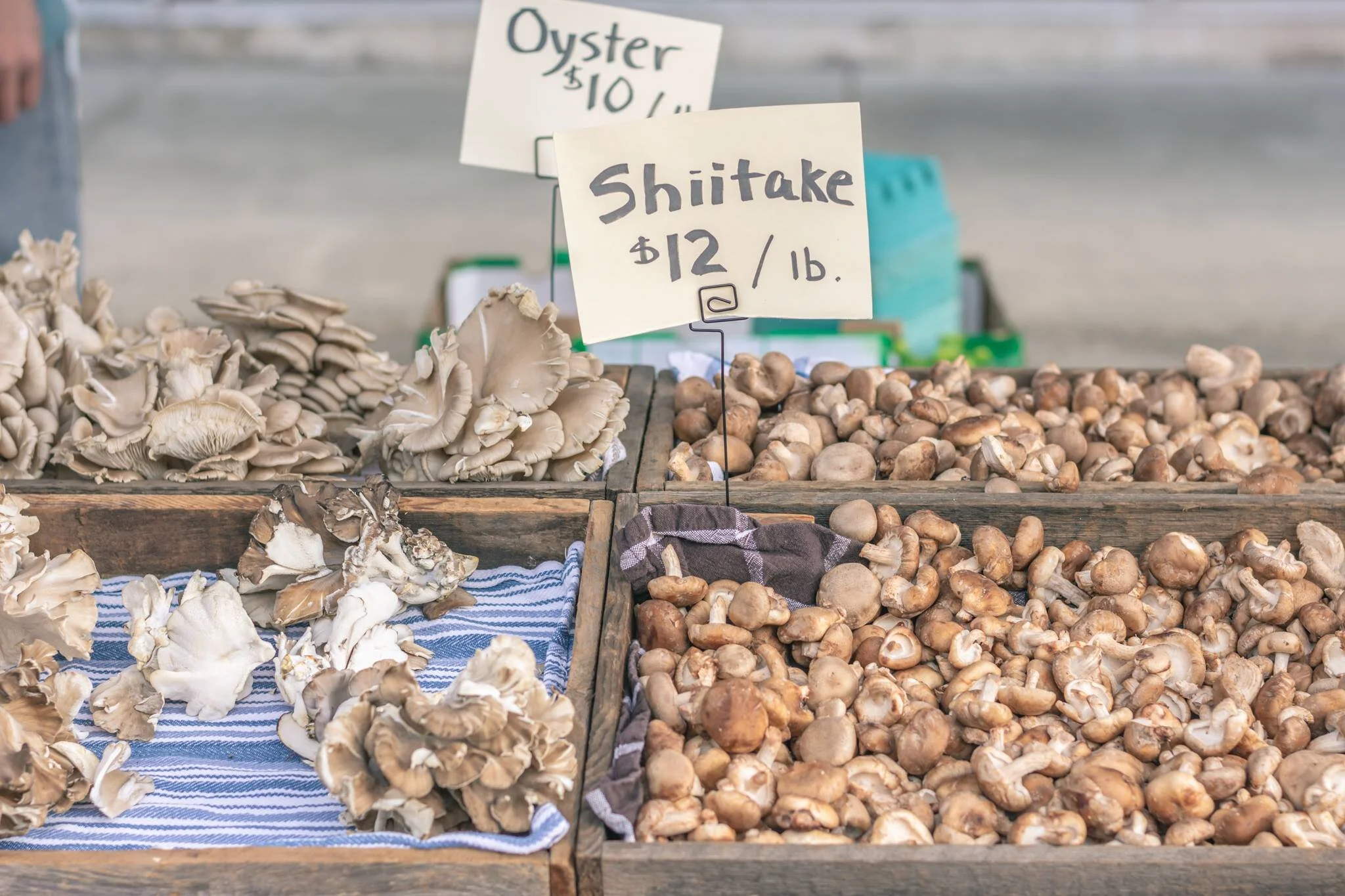 Downtown Hillsboro Saturday Market