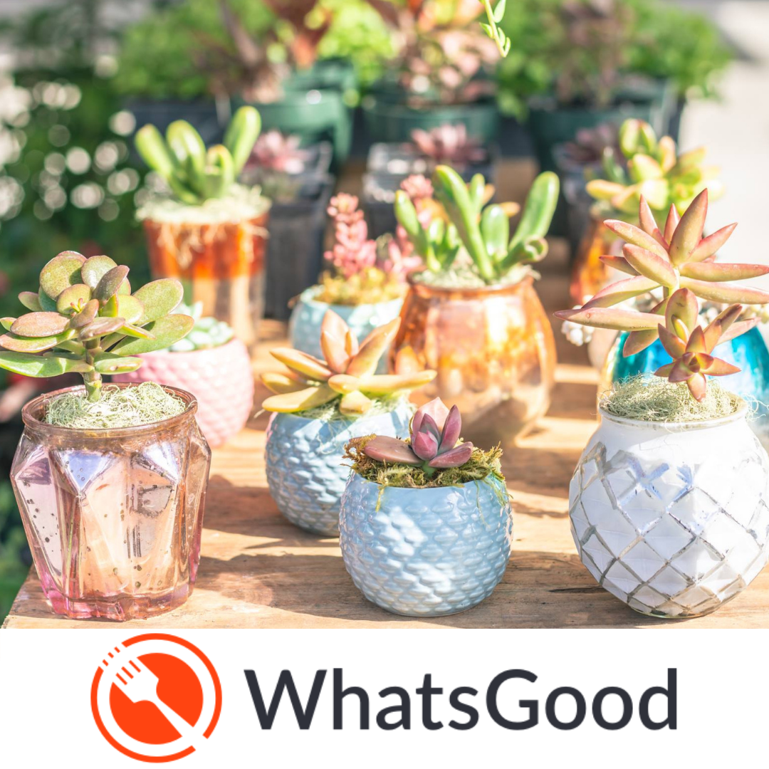 What's Good Pre-Order Deadline