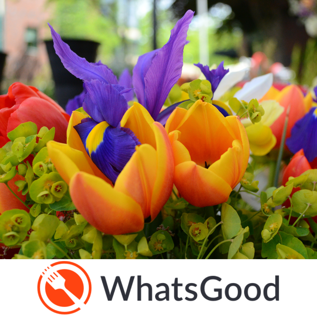 What's Good Pre-Order Deadline