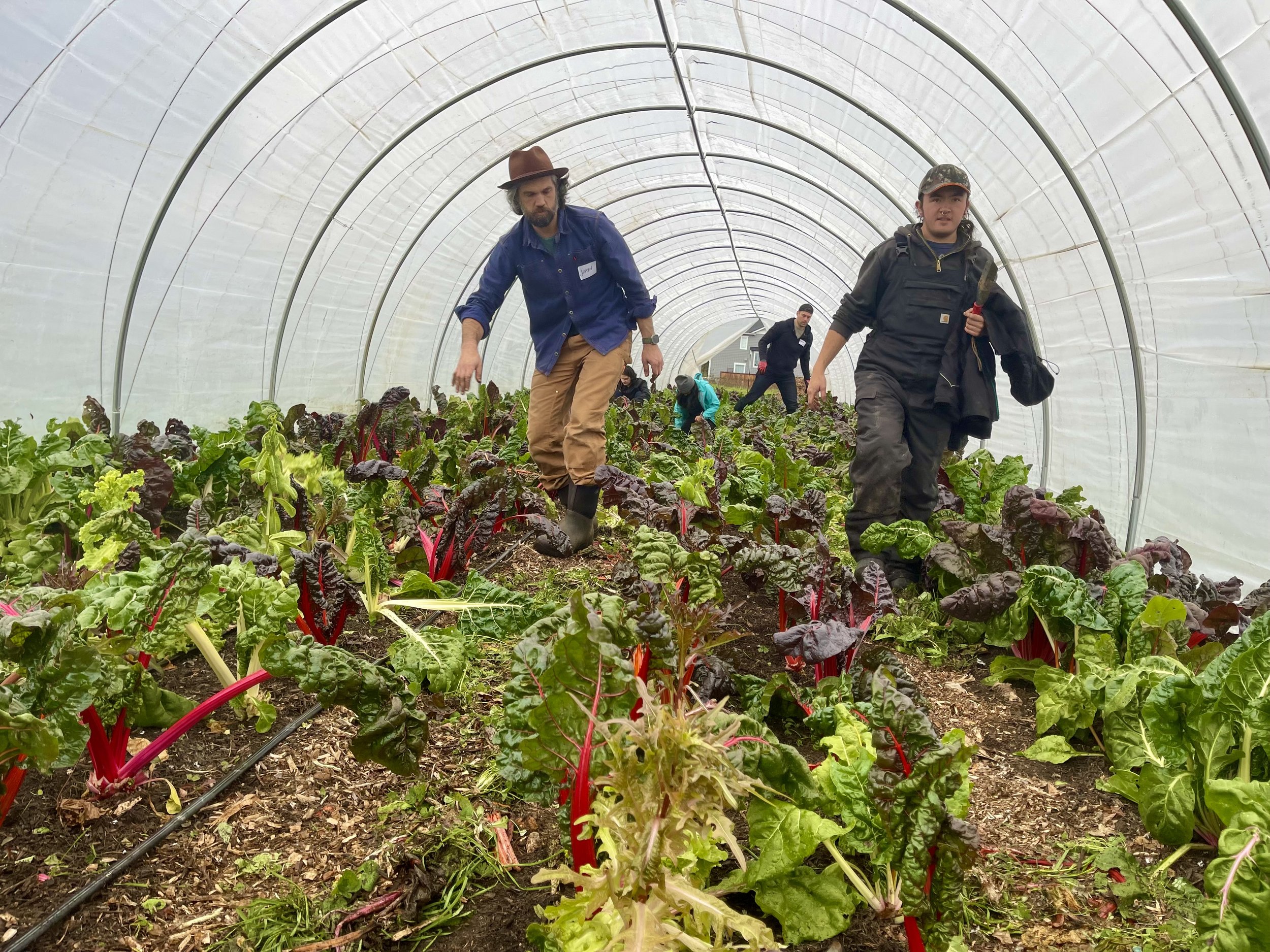 Working Theory Farm