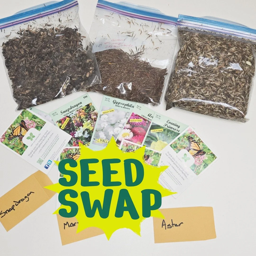 Join Hillsboro Farmers' Markets for our Opening Weekend Seed Swap. Bring extra seeds, discover something new to grow, and celebrate the start of the 2026 market season with fellow gardeners and neighbors. Join us Saturday, April 25 in Downtown Hillsb