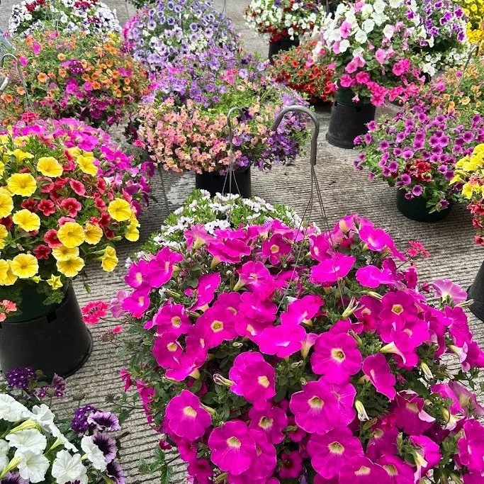 Happy Mother's Day! 

It&rsquo;s a beautiful day to treat Mom to something special&mdash;join us at the Orenco Station Sunday Market from 10:00 AM &ndash; 2:00 PM! 

Stroll the market, pick out fresh flowers, enjoy delicious local eats, and find uniq