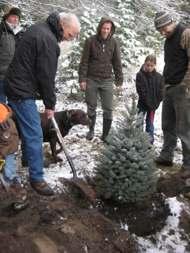 Bringing Heartache to the Manger [By Jen]